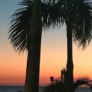 Meet your Posher, Donnell